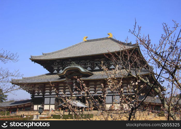 The Great Buddha Hall