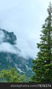 The Great Cold Valley (Velka Studena dolina) summer cloudy view. High Tatras, Slovakia.