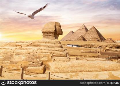 The Great Sphinx of Giza and the Pyramids in the background, Egypt.. The Great Sphinx of Giza and the Pyramids in the background, Egypt