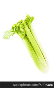 The green celery isolated on white backggtound. green celery isolated