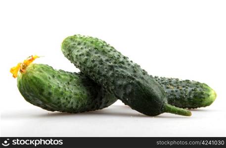 The green cucumbers isolated on white background.