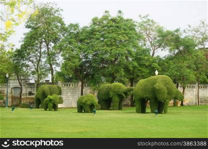 The green elephant trees in Bang Pa-In Palace at Ayutthaya province, Thailand