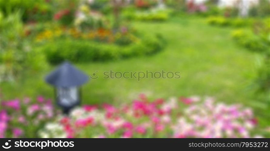 The green lawn surrounded by blossoming flower beds. In blur style