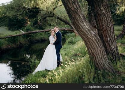 the groom and the bride are walking in the forest near a narrow river on a bright day