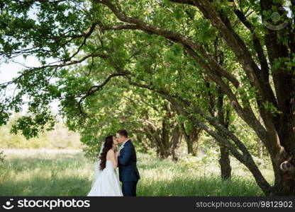 the groom and the bride are walking in the forest on a bright day