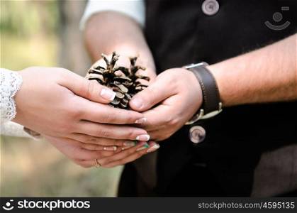 the groom and the bride hold hands-the arc with pine cones in forest