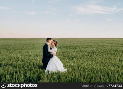 the groom and the bride walk along the wheat green field on a bright day