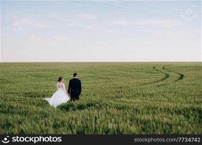 the groom and the bride walk along the wheat green field on a bright day
