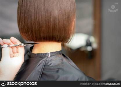 The hairdresser cuts the hair of a brunette woman. Hairstylist is cutting the hair of female client in a professional hair salon, close up. The hairdresser cuts the hair of a brunette woman. Hairstylist is cutting the hair of female client in a professional hair salon, close up.