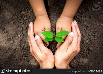 The hand of men and children are helping to plant seedlings into fertile soil, ecology concept.