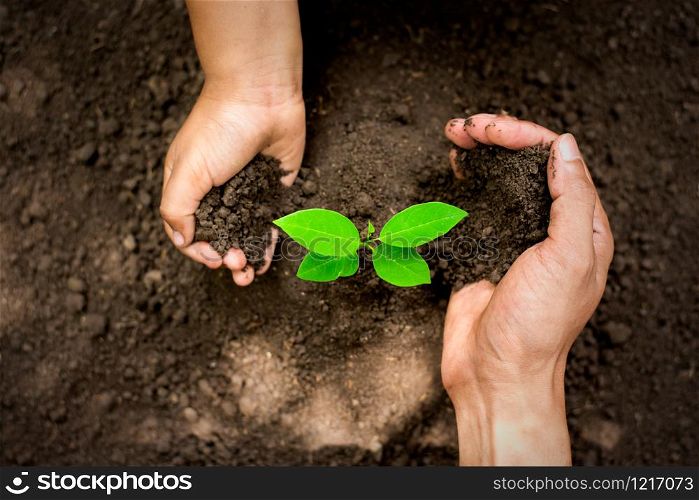 The hand of men and children are helping to plant seedlings into fertile soil, ecology concept.