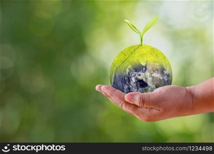 The hands of a girl holding a globe with seedlings growing on top, ecology concept, Elements of this image furnished by NASA.