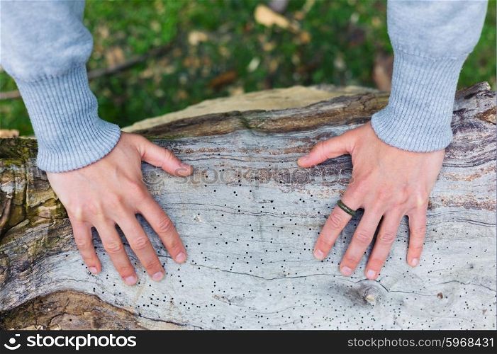 The hands of a young woman resting on a tree trunk in the park