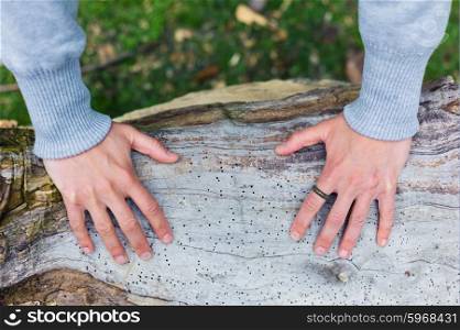 The hands of a young woman resting on a tree trunk in the park