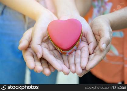 The hands of children and adults in the family have a heart in their hands.