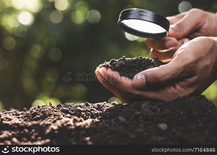 The hands of the agricultural men are picking the best soil for planting.