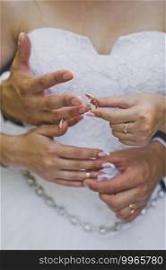 The hands of the newlyweds and wedding rings.. Wedding rings in the hands of the newlyweds 2445.