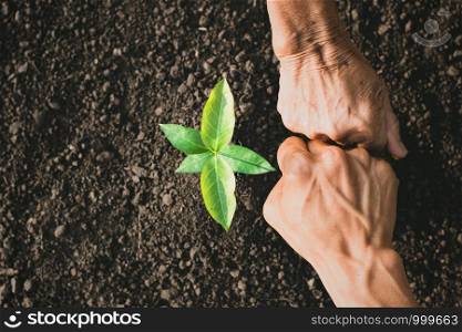 The hands of the young man and the old woman are showing unity in helping to plant trees.