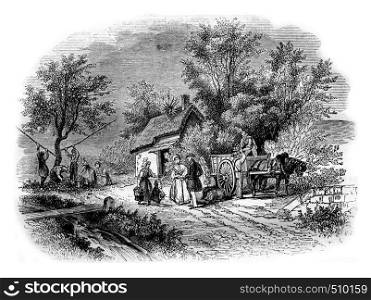 The Harvest of apples in Normandy, vintage engraved illustration. Magasin Pittoresque 1843.