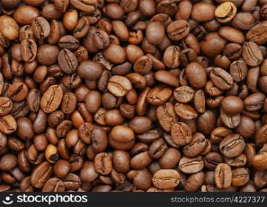 The heap of coffee beans, top view. Coffee beans
