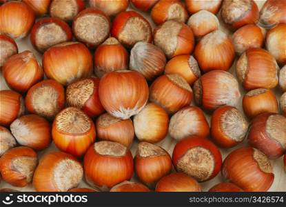 The heap of hazelnuts. Hazelnuts