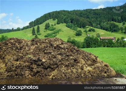 The heap of manure on the farm field in Switzerland