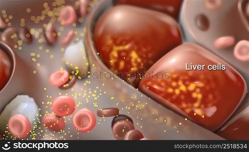 The hepatic lobule is the anatomic unit of the liver 3D illustration. The hepatic lobule is the anatomic unit of the liver