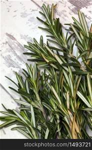 The herb Rosemary - Rosmarinus officinalis - native to the Mediterranean region and used as a flavoring in cooking.