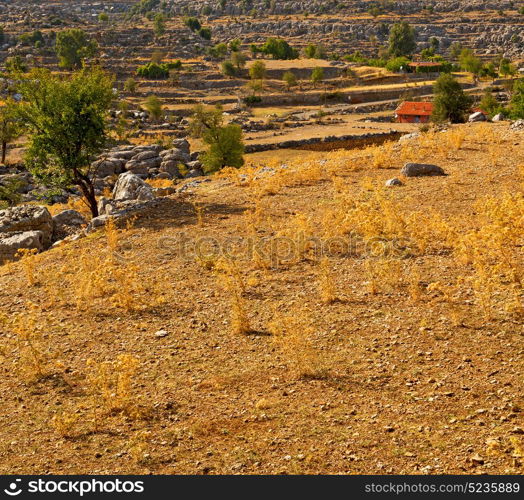 the hill in asia turkey selge old architecture ruins and nature