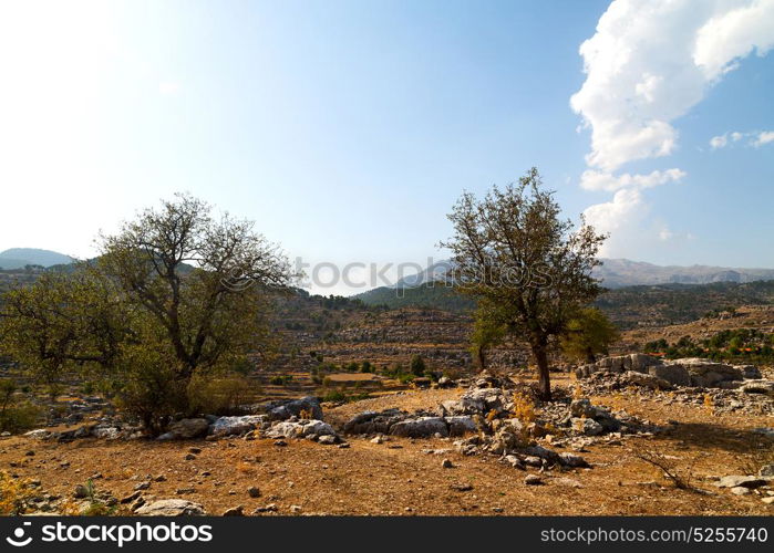 the hill in asia turkey selge old architecture ruins and nature