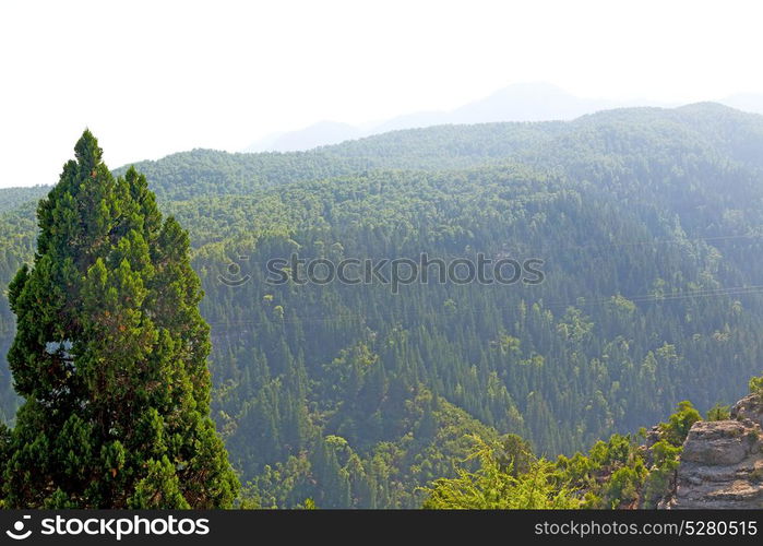 the hill in asia turkey selge old architecture ruins and nature