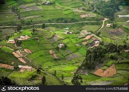 The hills and the valleys of Kabale Highland District in Southern Uganda on the border of Rwanda is covered in agricultural land for cash crops.