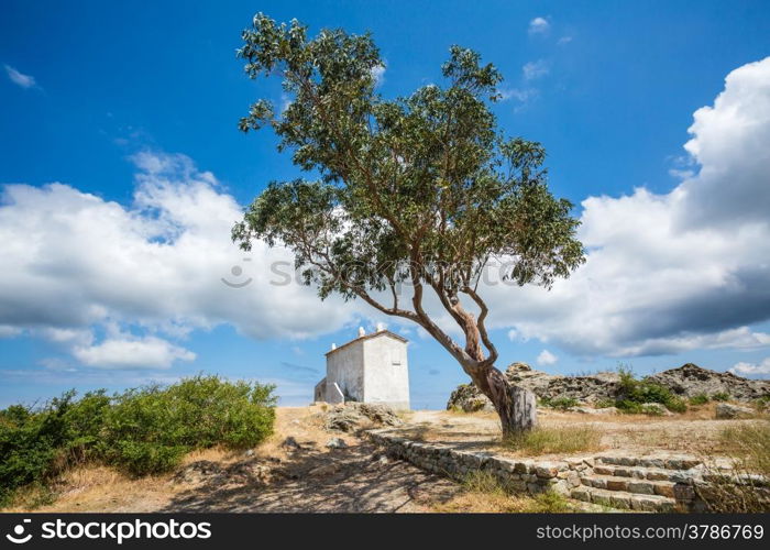 The house on the hill at Baccialu on the D81 road towards St Florent in Corsica