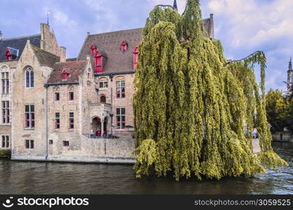 The houses are surrounded by canals that circulate throughout the city