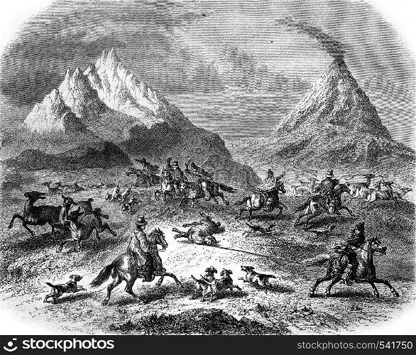 The Hunting at the Guanacos, in the vicinity of the volcano Antuco, vintage engraved illustration. Magasin Pittoresque 1858.