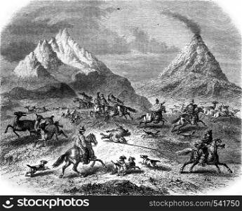 The Hunting at the Guanacos, in the vicinity of the volcano Antuco, vintage engraved illustration. Magasin Pittoresque 1858.