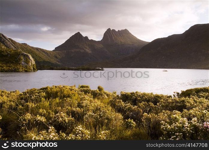 The iconic image of Tasmania, Cradle Mountain sits majestic atop the the jewel that is Dove Lake bathed in glowing sunset light.