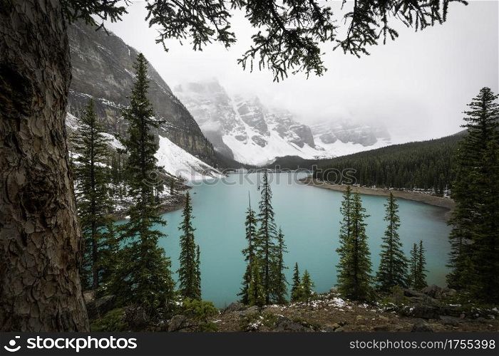The iconic Moraine Lake of Banff National Park during an overcast afternoon in the early Summer.