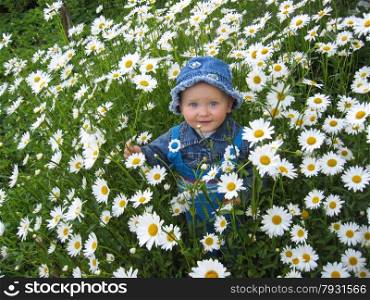 the image of little beautiful child in the flower-bed of camomiles