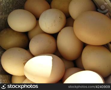 The image of many tasty eggs of the hen