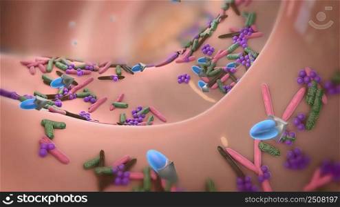 The immune response is how your body recognizes and defends itself against bacteria, viruses, and substances that appear foreign and harmful to the body.3D illustration. The importance of macrophage in the immune system