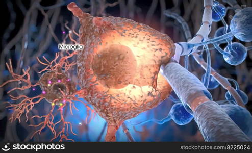 The immune response is how your body recognizes and defends itself against bacteria, viruses, and substances that appear foreign and harmful to the body. 3d medical illustration. he immune response is how your body recognizes and defends itself against bacter