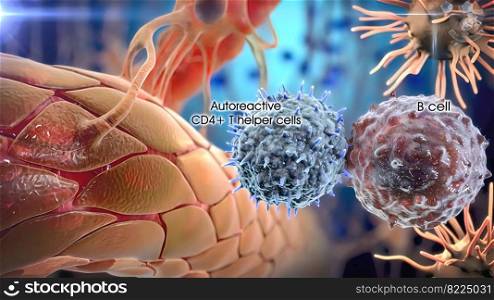 The immune response is how your body recognizes and defends itself against bacteria, viruses, and substances that appear foreign and harmful to the body. 3d medical illustration. he immune response is how your body recognizes and defends itself against bacter