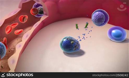 The immune system defends our body against invaders, such as viruses, bacteria, and foreign bodies. 3D illustration. Immune system defense, functioning in the body