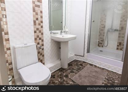 The interior of the toilet and bathroom with shower