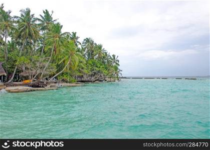 the island of Maldives of Fiholhohi a landscape the beach with blue water of the Indian Ocean in cloudy day