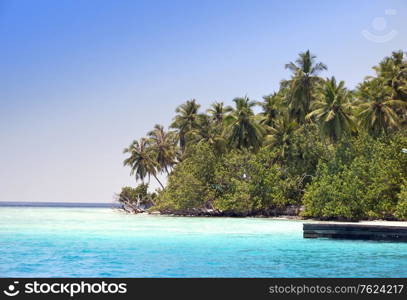 The island with palm trees in the ocean