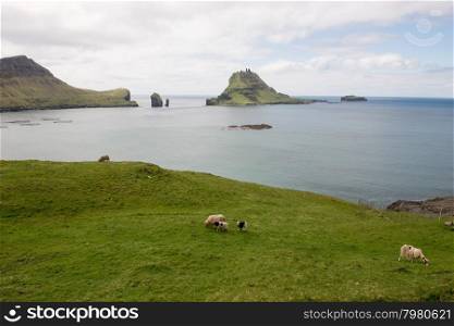 The islands Gasholmur and Tindholmur on the Faroe Islands. The islands Gasholmur and Tindholmur on the Faroe Islands as seen from Gasadalur with sheep