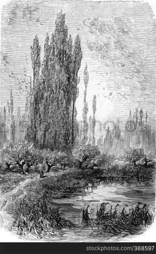The Isle of Episy in Seine-et-Marne, Ile-de-France, France. From Chemin des Ecoliers, vintage engraving, 1876. 
