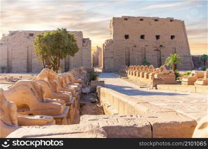 The King s Festivities Road or Avenue of Sphinxes, ram-headed statues of Karnak Temple, Luxor, Egypt.. The King s Festivities Road or Avenue of Sphinxes, ram-headed statues of Karnak Temple, Luxor, Egypt